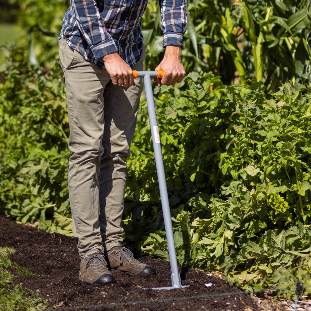 Broadfork 4x250 TERRADIX in Beet eingestochen mit Mann 