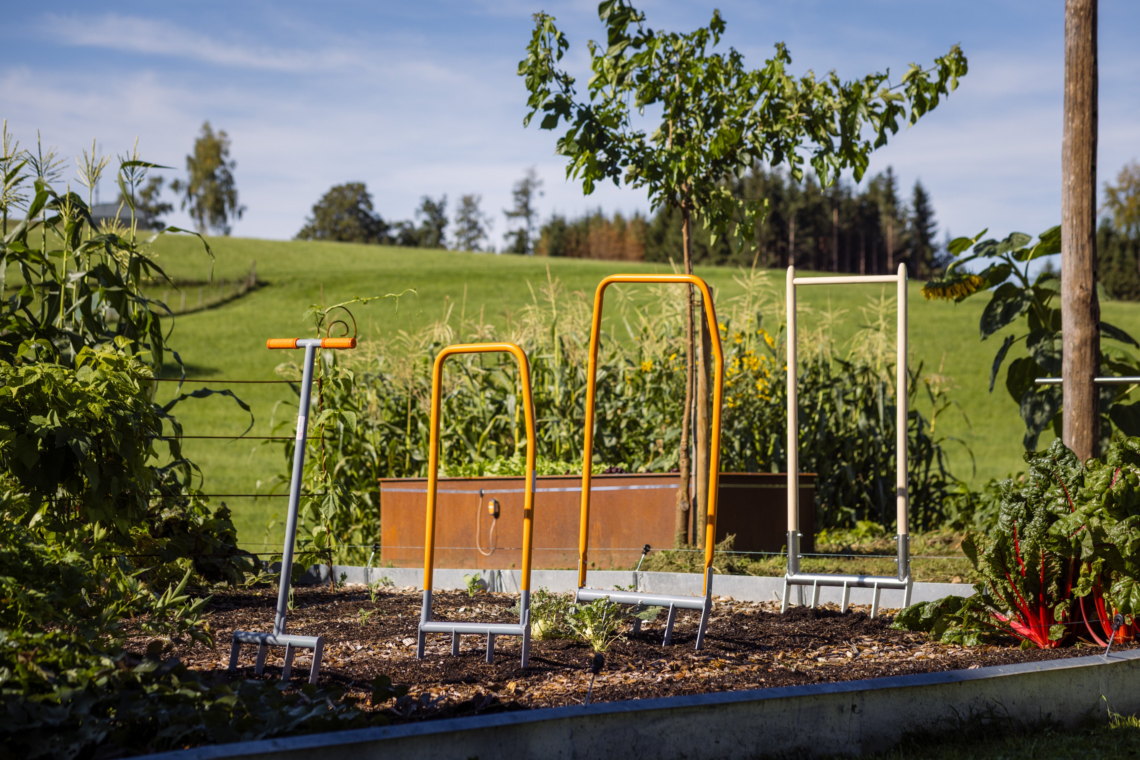 Doppelgrabegabel Modelle im Garten Hochbeet im Hintergrund