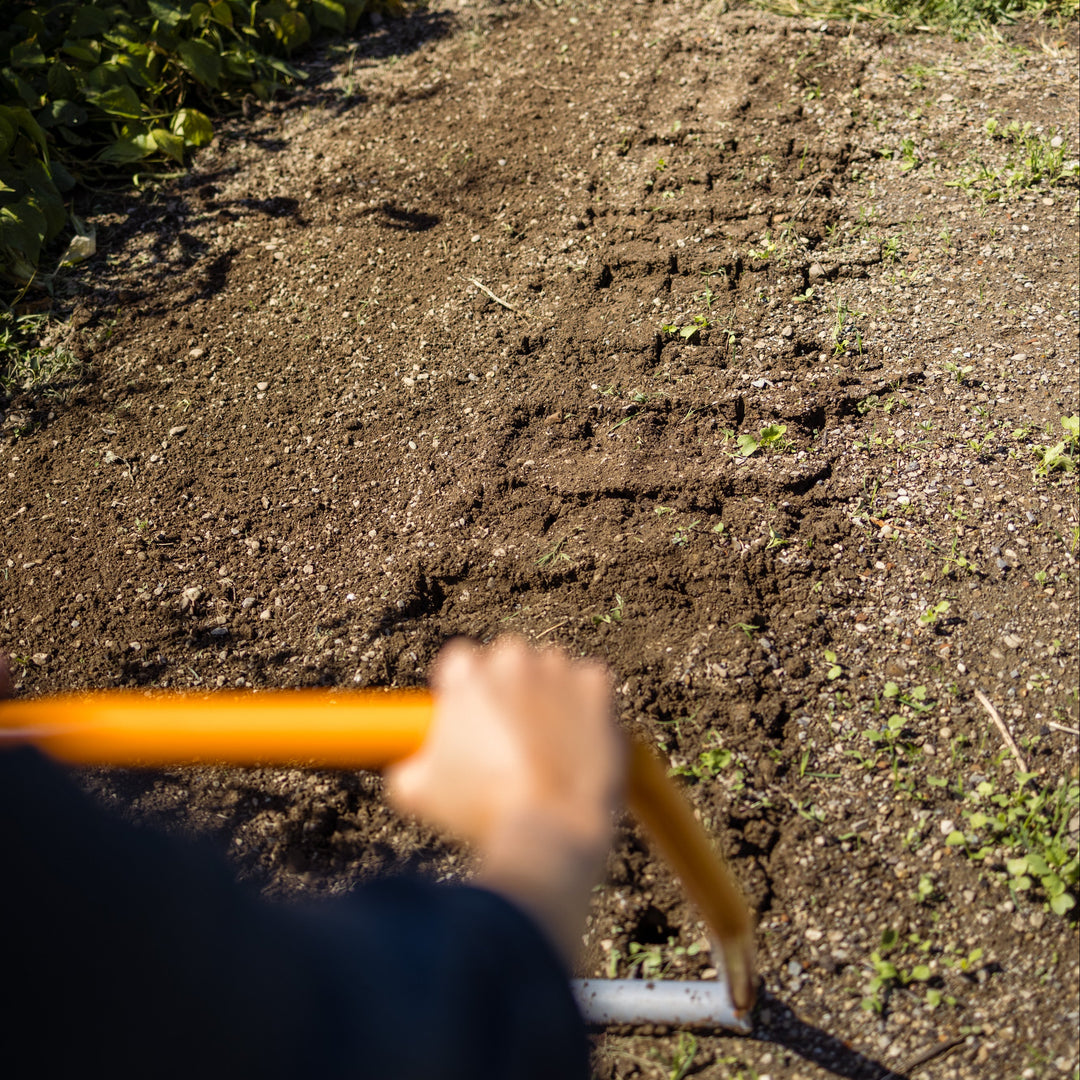 Broadfork 5x300 TERRADIX Beet gelockert