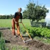 Double digging fork Bed row